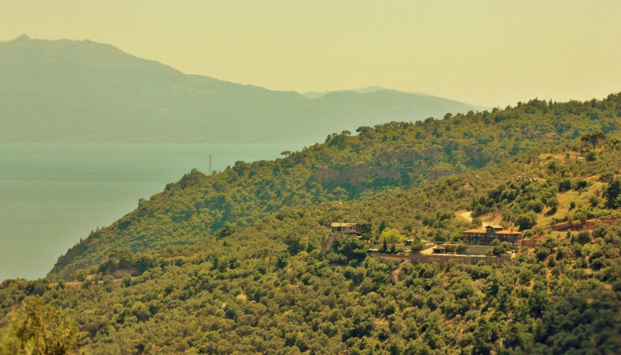Assos Kartal Yuvasi Hotel Sazlı Exteriör bild
